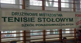 zdjęcie nr 10