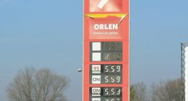 zdjęcie nr 7