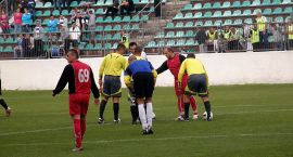 zdjęcie nr 11