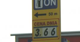 Fotka nr 4 z 8