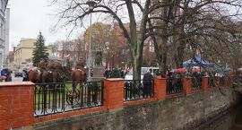 zdjęcie nr 7
