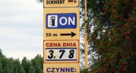 zdjęcie nr 8