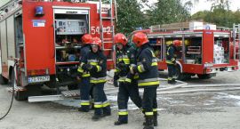 Fotka nr 4 z 10