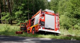 Fotka nr 1 z 5