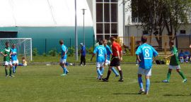 Fotka nr 3 z 13