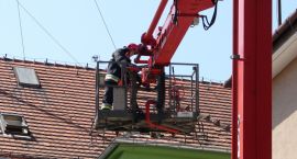 zdjęcie nr 7