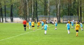 zdjęcie nr 15