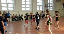 Fotka nr 2 z 16