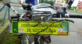 Fotka nr 5 z 7