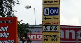Fotka nr 4 z 7