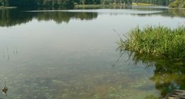 Fotka nr 4 z 6
