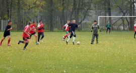 zdjęcie nr 11