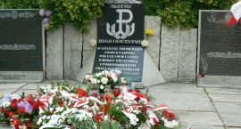 zdjęcie nr 26