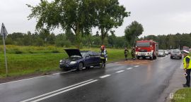 Fotka nr 1 z 3
