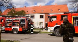 Fotka nr 4 z 9