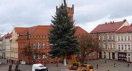 Fotka nr 5 z 7