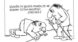 Fotka nr 5 z 24