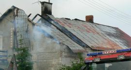 zdjęcie nr 8