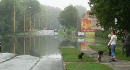 zdjęcie nr 19