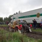 zdjęcie nr 11