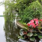 zdjęcie nr 9