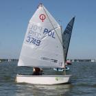 Fotka nr 3 z 11