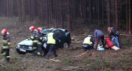 zdjęcie nr 7
