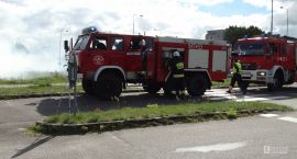 Fotka nr 3 z 10