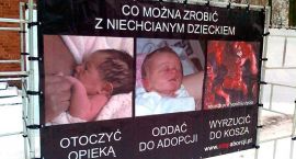 Fotka nr 2 z 17