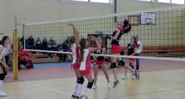 Fotka nr 4 z 5