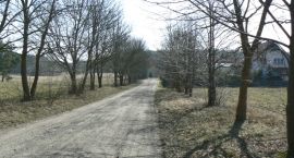 zdjęcie nr 7
