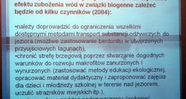 Fotka nr 5 z 9