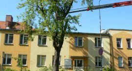 zdjęcie nr 14