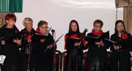 zdjęcie nr 8