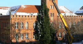 zdjęcie nr 43