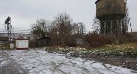 Fotka nr 3 z 4