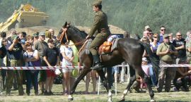 zdjęcie nr 77
