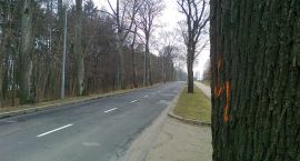 Fotka nr 0 z 12