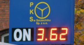 Fotka nr 3 z 7
