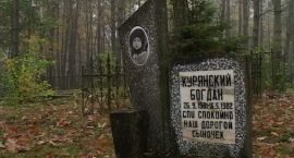 zdjęcie nr 7
