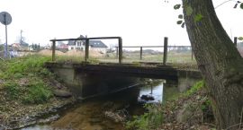 zdjęcie nr 11