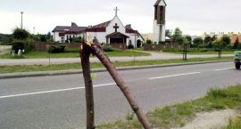 Fotka nr 2 z 4