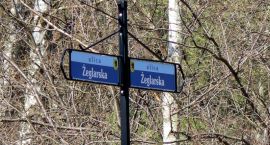 Fotka nr 4 z 8