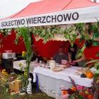 zdjęcie nr 15