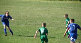 Fotka nr 3 z 8