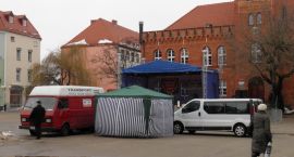 zdjęcie nr 10