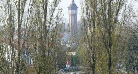 zdjęcie nr 10