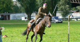 zdjęcie nr 8