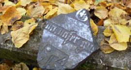 zdjęcie nr 7
