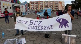 zdjęcie nr 7